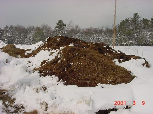 Let the pile sit for 3 months for smaller animals or 6 months for cows.